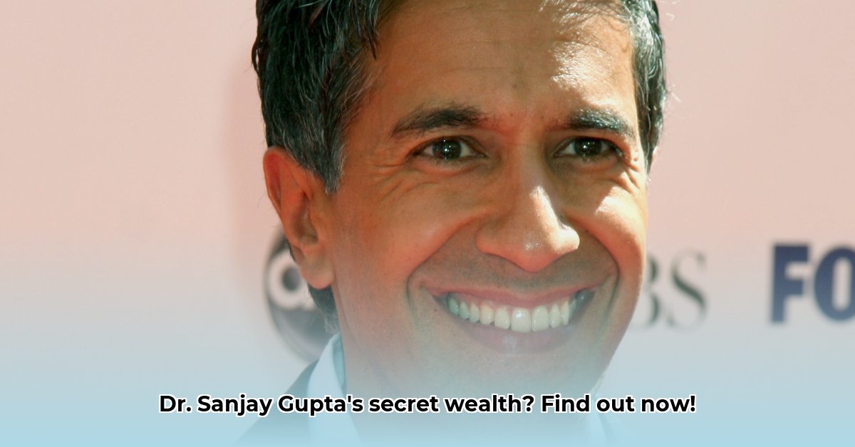 sanjay-gupta-net-worth